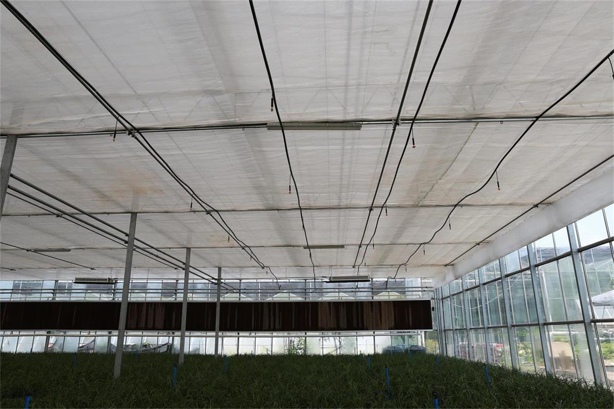 四川節(jié)水灌溉客戶見(jiàn)證 四川節(jié)水灌溉客戶見(jiàn)證